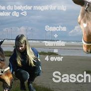 Fuldblod (XX) Sascha (solgt)