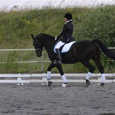 Oldenborg Vangkærs Sebastian