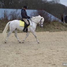 Connemara Skærgårdens Silver Night