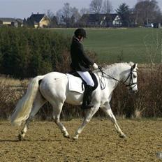 Connemara Skærgårdens Silver Night
