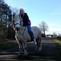 Anden særlig race Mickey mouse