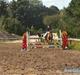Welsh Cob (sec D) Waardhoeve's ilona *LÅNTE*