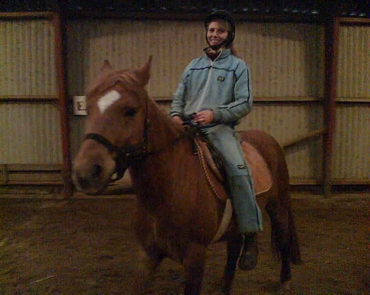 Anden særlig race Kashim *Foræret væk* - Kashim under rytter 1 gang uden trækker.  billede 4