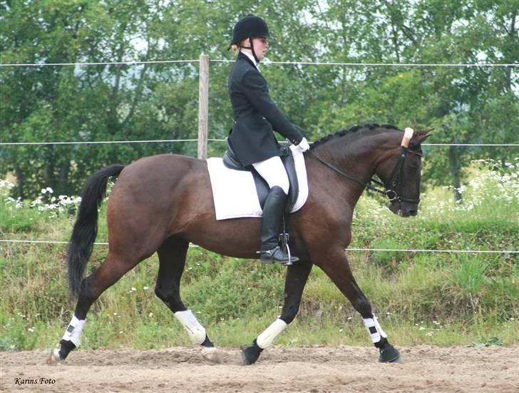 Dansk Varmblod | Pupsik *Min stjerne* <3 - Stævne RIS. Fotograf: Karins-foto billede 13