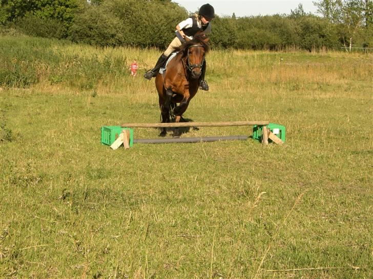 Anden særlig race Nikita *SOLGT* - Velkommen til vores profil!!!!! billede 3