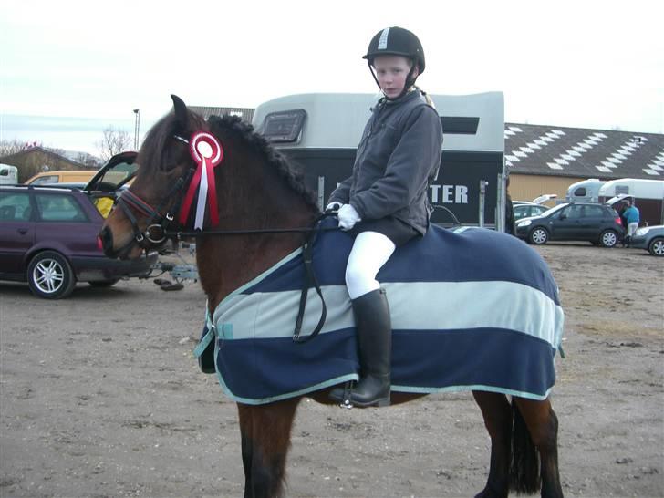 Anden særlig race Nikita *SOLGT* - mig og Nikita har været til dressurstævne, med en 1. plas med hjem<3<3<3 billede 4