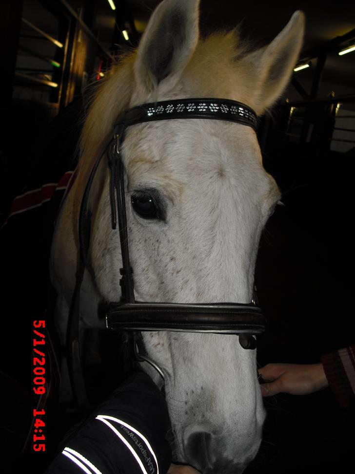 Anden særlig race julle  billede 16