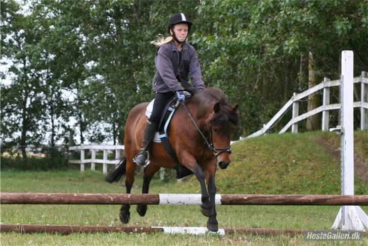 Anden særlig race Nikita *SOLGT* - spring til ridelejren :D  billede 6