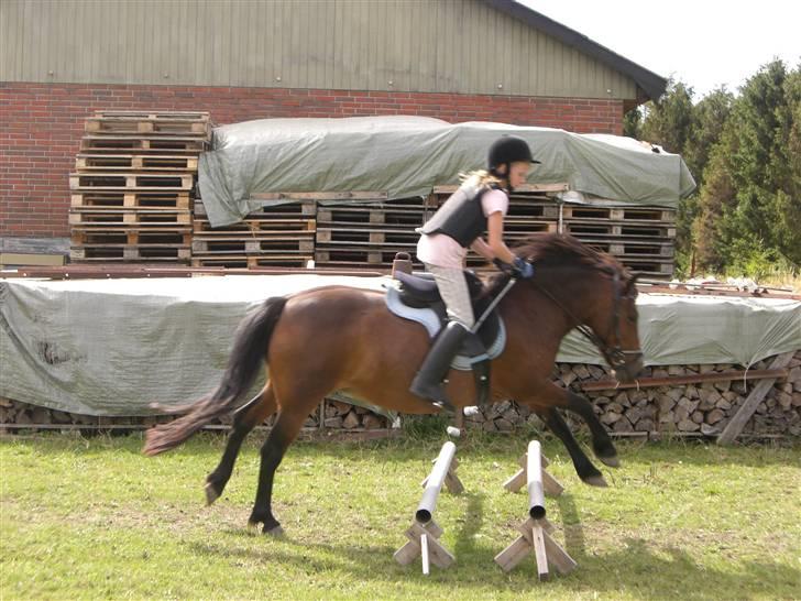 Anden særlig race Nikita *SOLGT* - spring for første gang :)  billede 7