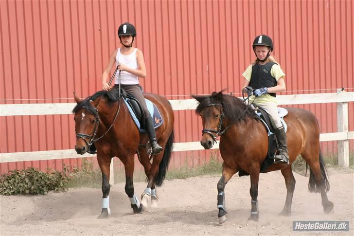 Anden særlig race Nikita *SOLGT* - mig og Nikita, Ida og kassio billede 12
