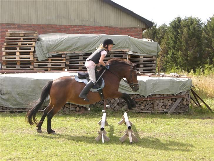 Anden særlig race Nikita *SOLGT* - vi springer = ) billede 13