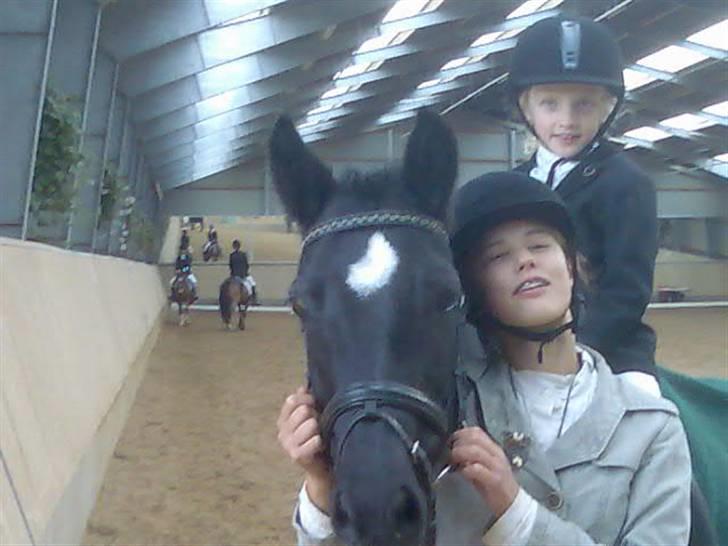 Anden særlig race Magic Manipu (Udlånt) billede 20