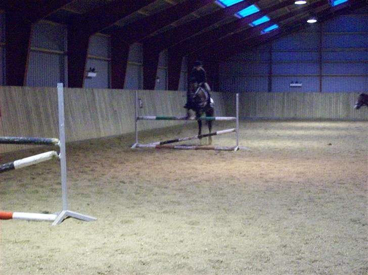 Anden særlig race Phyrus - Phyrus in action billede 18