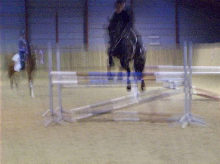 Anden særlig race Phyrus - Phyrus i god stil:) Jeg ved godt at billedet er sløret, men det er bare lige i det rigtige moment. Så det skulle med. billede 19