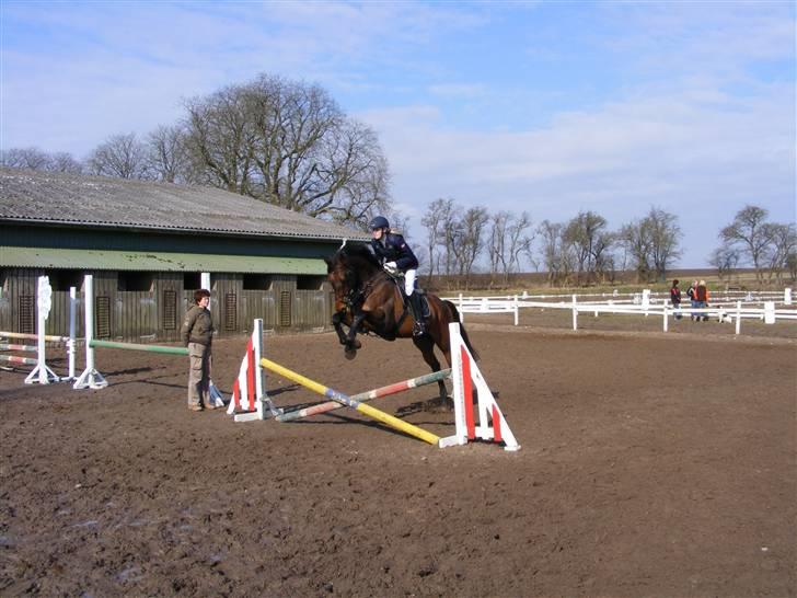 Fuldblod (XX) My Topaz xx - Topaz springer kryds :) billede 6