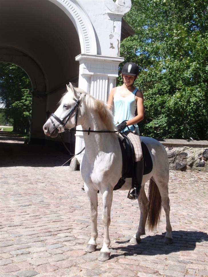 Connemara Skærgårdens Silver Night - Silver og jeg <3 Foto: Signe billede 10