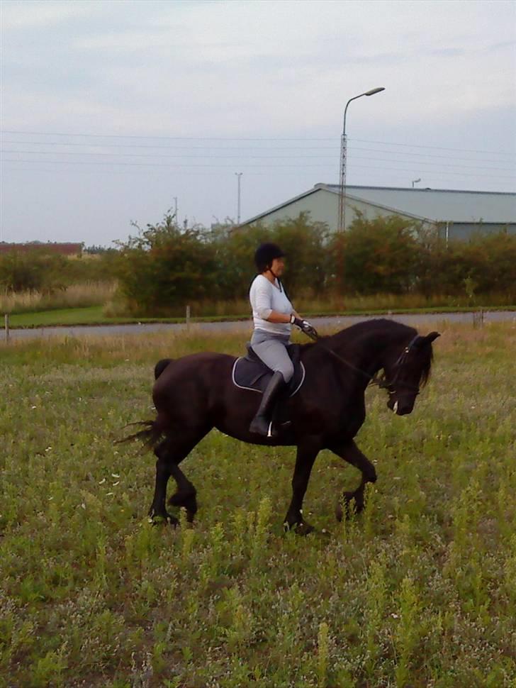 Frieser Maartje S billede 9