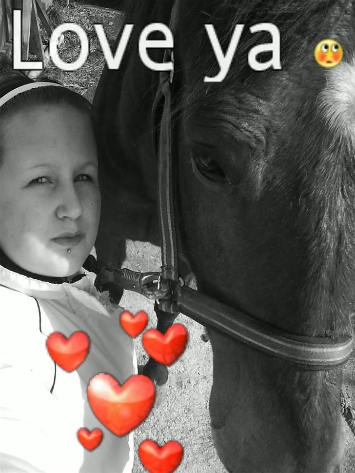 Anden særlig race speed billede 13