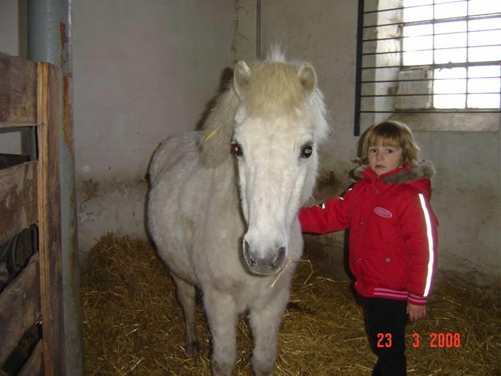 Anden særlig race LADY - En stolt pige der lige har fået sin pony billede 2
