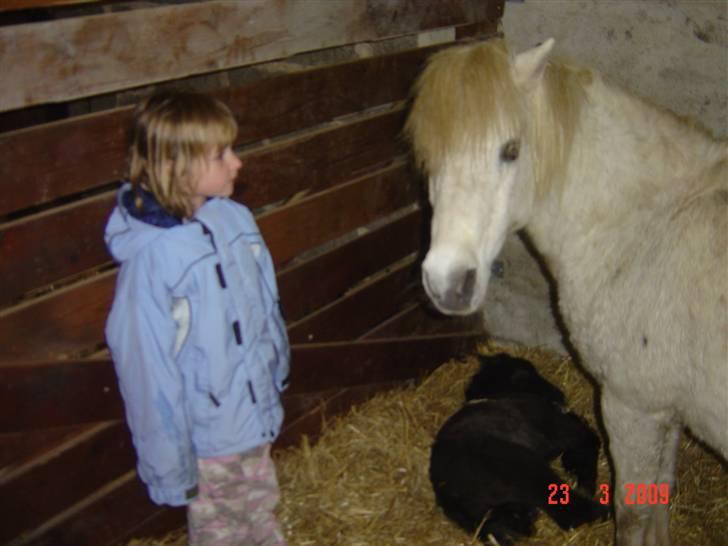 Anden særlig race LADY - Lady og Molly har besøg af Grethe billede 10