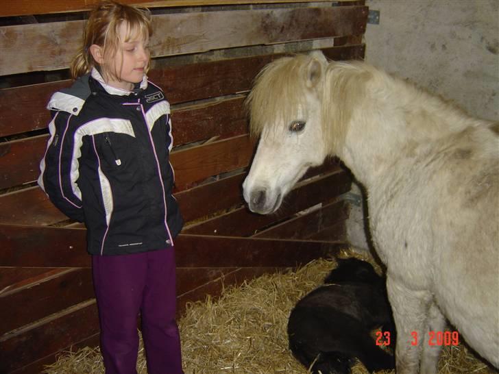 Anden særlig race LADY - Lady og Molly har besøg af Karen billede 11