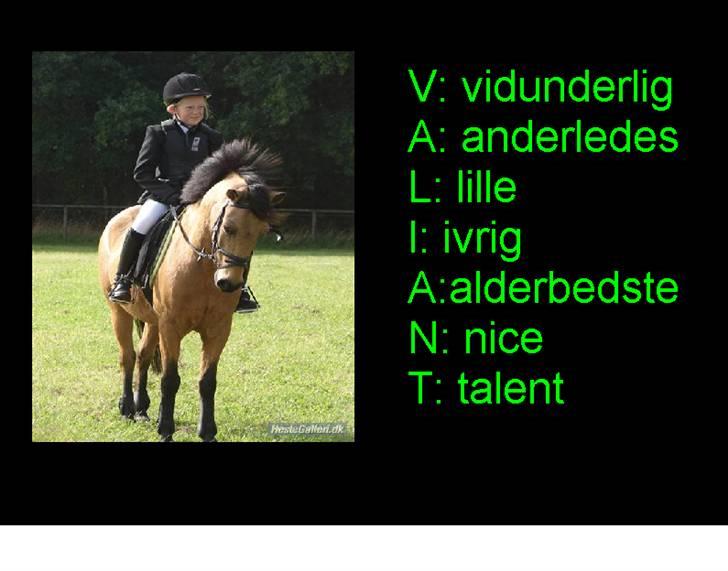 Anden særlig race Løvlunds Prins Valiant billede 16