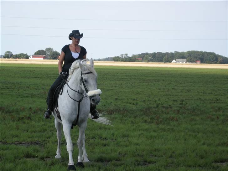 Anden særlig race Shadow Himmelhest - hygge ridning :-) billede 7