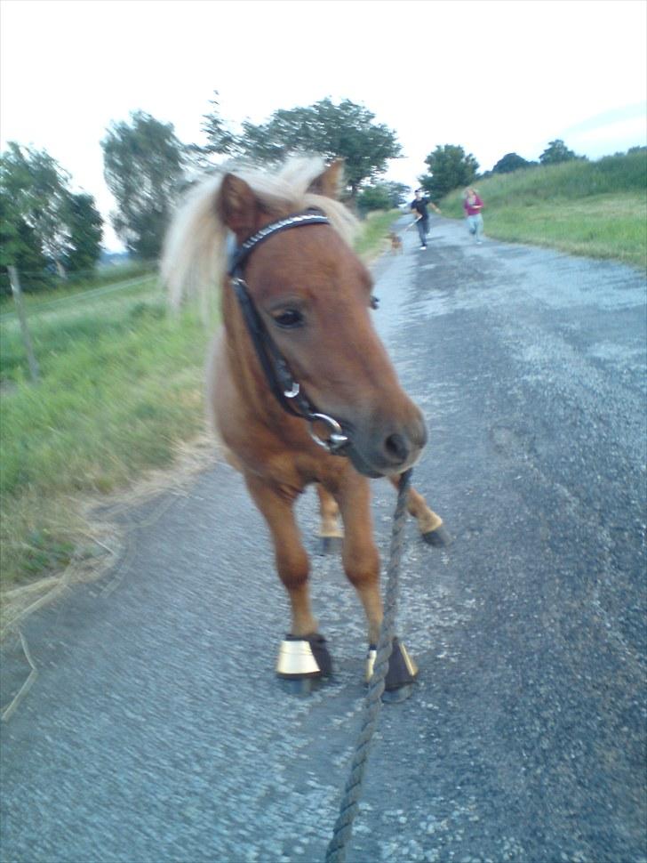 Miniature Filur ( figurt ) <3 solgt billede 5