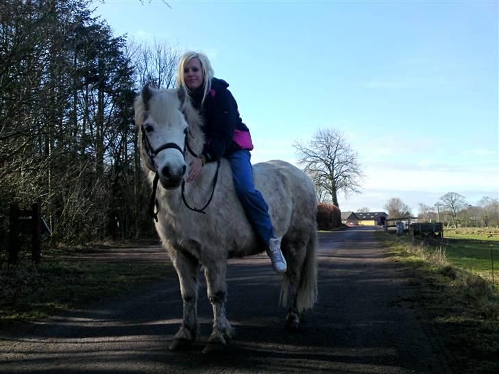 Anden særlig race Mickey mouse billede 2