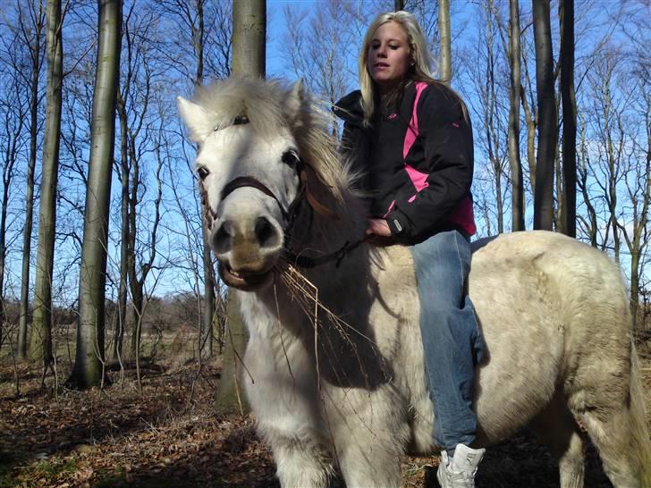 Anden særlig race Mickey mouse billede 4