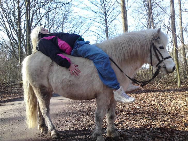 Anden særlig race Mickey mouse billede 5