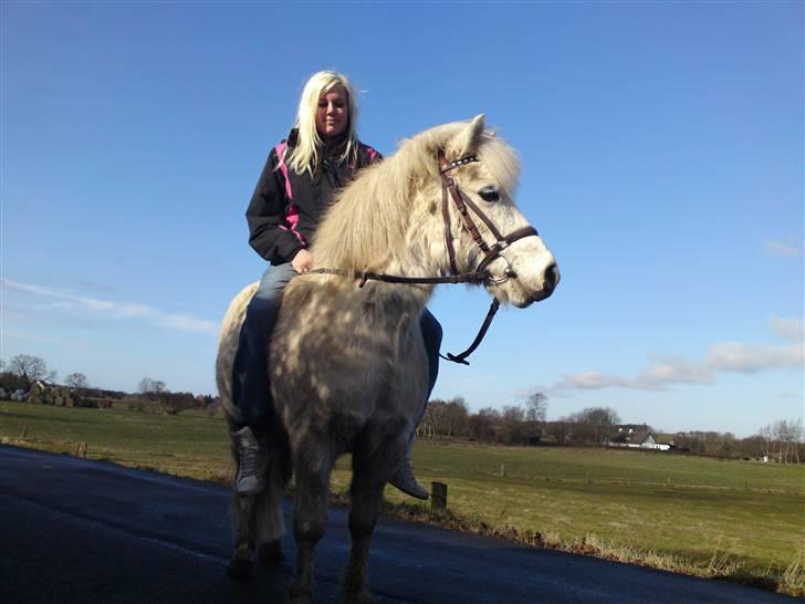 Anden særlig race Mickey mouse billede 6