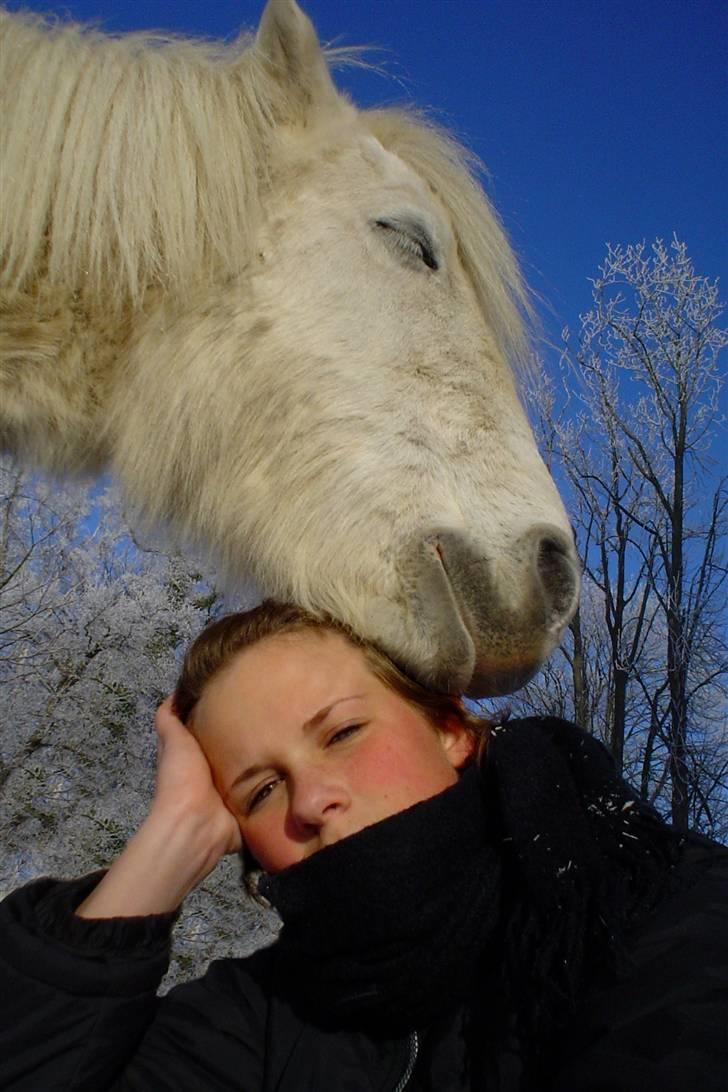 Anden særlig race Tulle billede 14