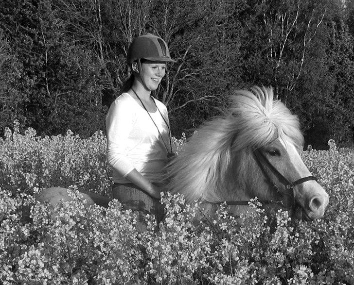 Islænder Storgaardens Glama - Mmm, hvor dufter her bare godt<3 billede 17