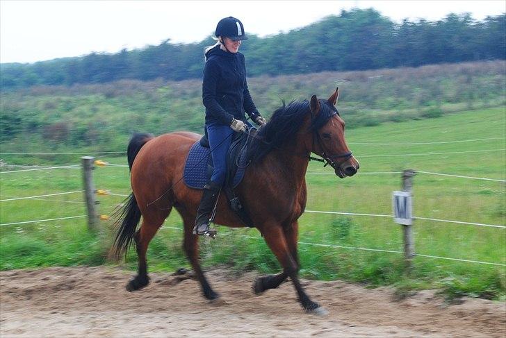 Anden særlig race Rocky - Rocky 24.09.2010 billede 2