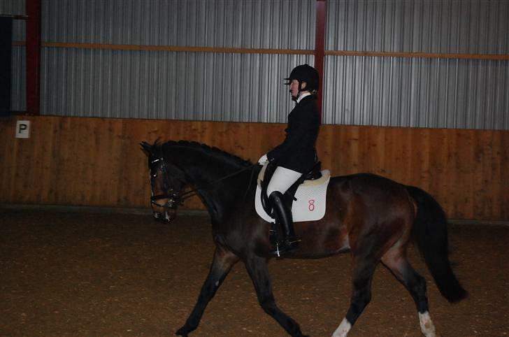 Oldenborg Usolan af Hvarre - Solgt billede 17