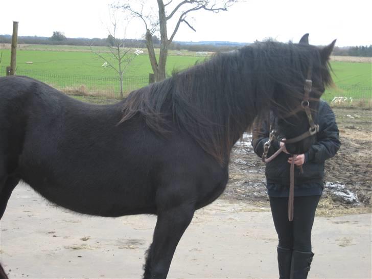 Frieser leika solgt billede 4