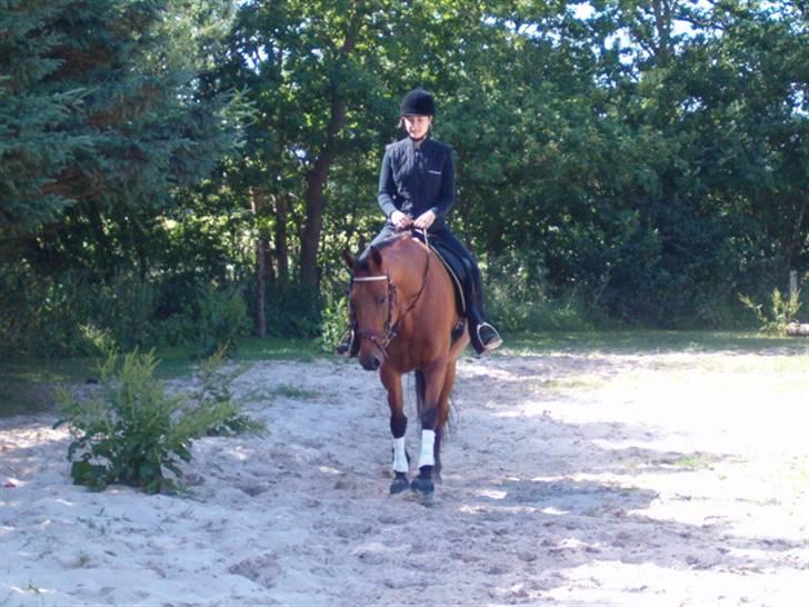 Traver Bulle R.I.P billede 9
