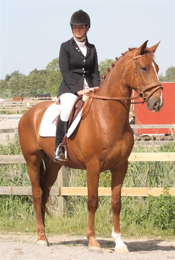 Frederiksborg Legolas Enghaven billede 7