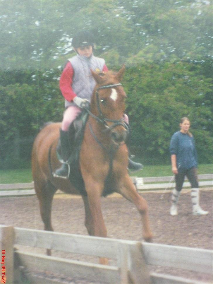 Anden særlig race Piccolo - 6) 9 år gammel! mit tøj er herre meget fail!  billede 9