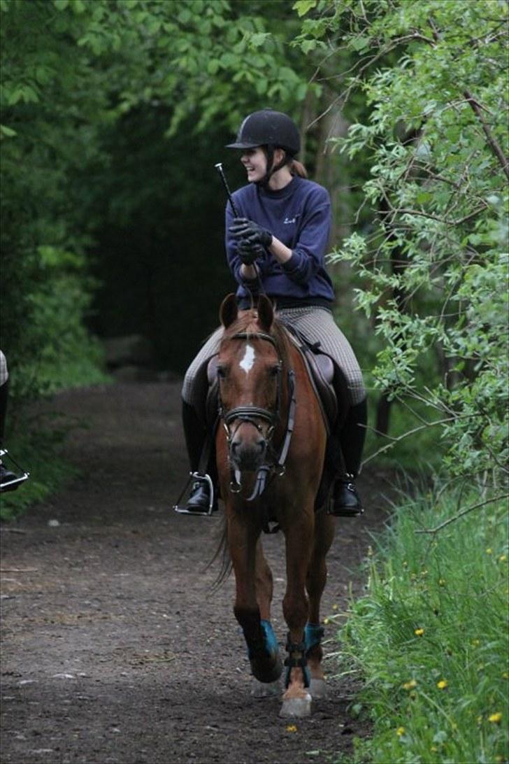 Anden særlig race Piccolo billede 13
