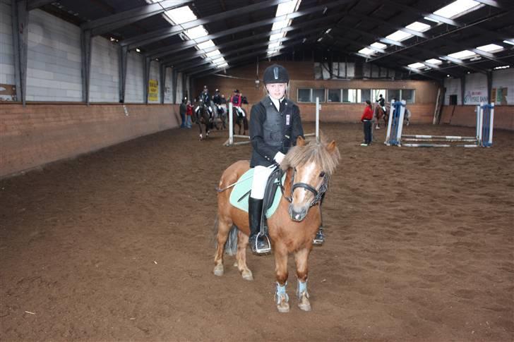 Anden særlig race Prins <3 (gammel part) - mig og Prins til vores første stævne i hinnitus<33 Foto: Mor billede 16