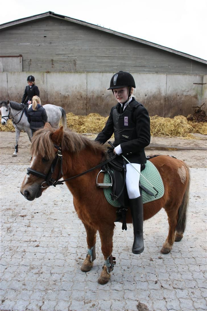 Anden særlig race Prins <3 (gammel part) - elsker ham bare mega meget <33  :D XD Foto: Mor billede 18