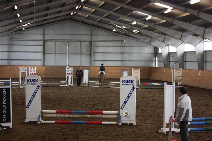 Anden særlig race Prins <3 (gammel part) - når enden er god er alting godt... jaa prins du skal vide at jeg elsker dig :* det v´har været det bedste halve år nogensinde elsker dig mijn dreng <33333333 billede 20