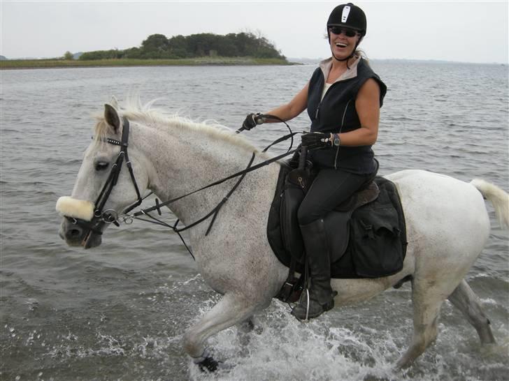 Anden særlig race Shadow Himmelhest - også første tur i vandet ..hold op hvor vi elsker det :-) billede 16