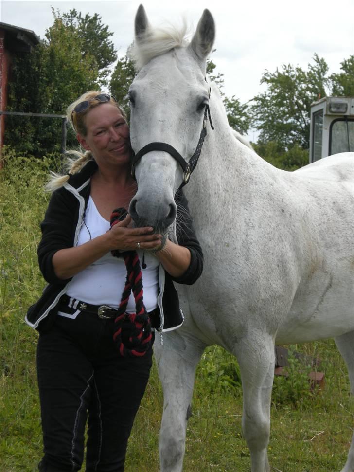 Anden særlig race Shadow Himmelhest - elsker ham overalt på jorden,tror han elsker mig :-) billede 18