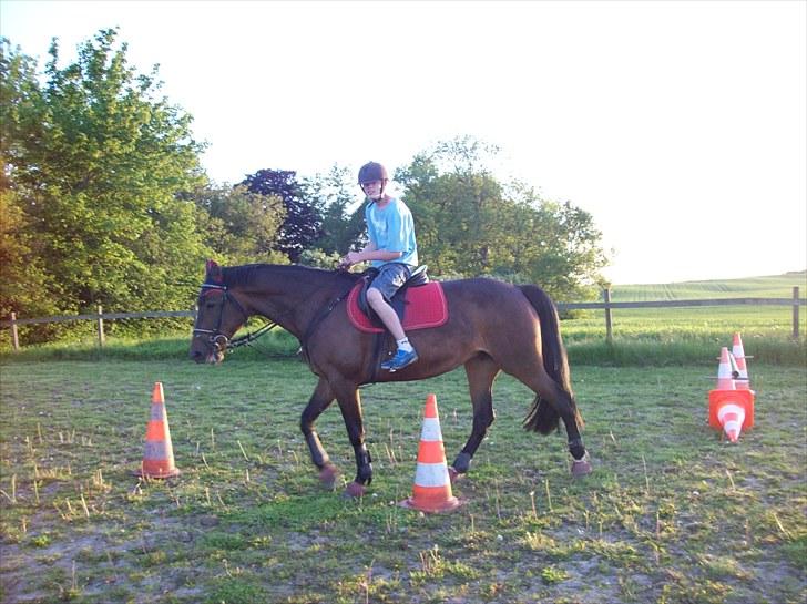 Traver Godiva pride<3 R.I.P ;( - Diva<33 billede 7