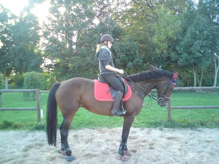 Traver Godiva pride<3 R.I.P ;( - Diva<33 billede 10