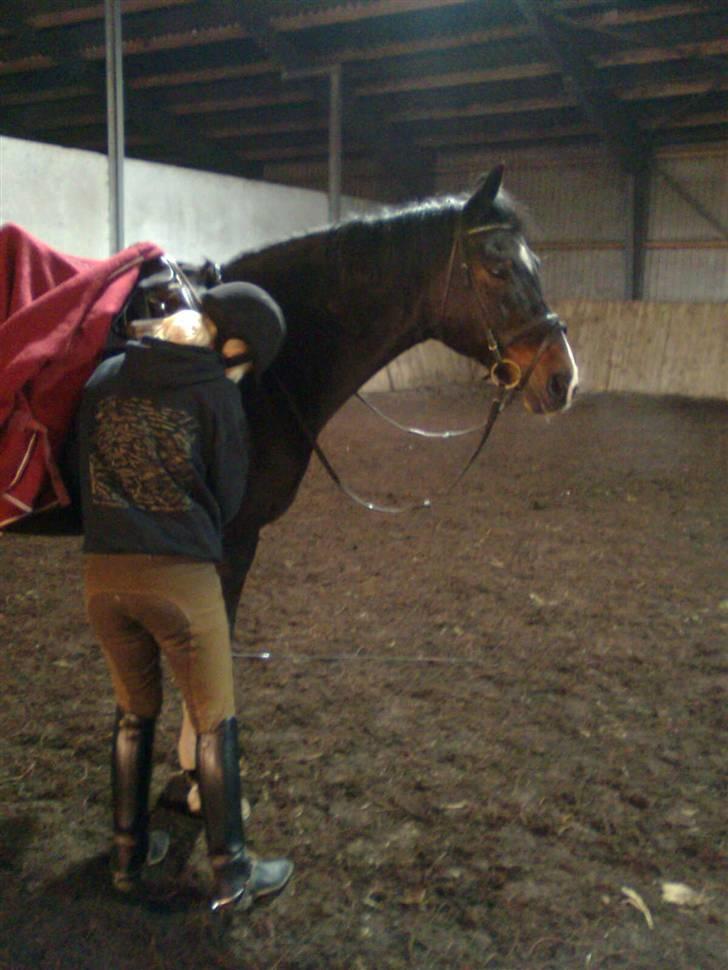 Anden særlig race Eter Solgt /: billede 4