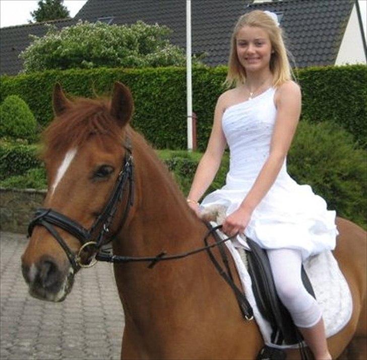 Anden særlig race Quasimodo - Velkommen! :D billede 1